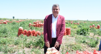 Barut'tan Bakan Yumaklı'ya Tepki:"Güçlü Türkiye İçin Tarımı ve Çiftçiyi Ayağa Kaldırın!''