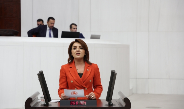 Gülcan Kış:'AKP’nin Yönetim Anlayışı Halktan Kopuk ve İsrafçı Bir Düzendir''
