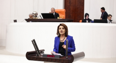 Kış, Kayyum Atamalarını Eleştirdi:''Halk Sandıkta Cevap Verecek!''