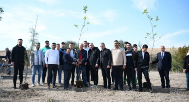 MHP ve Ülkü Ocakları’ndan “Biz Kardeşiz Ağaçlandırma Projesi”