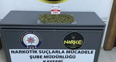 Narkotik Köpekleri Yakalattı!