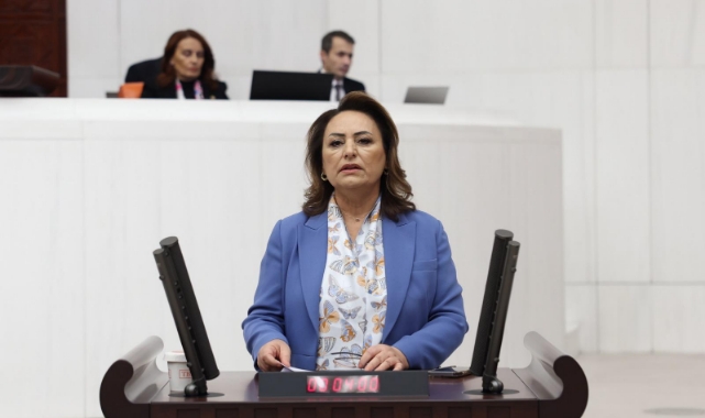 Şevkin,Meclis Kürsüsünden Kadın Cinayetlerine Karşı Haykırdı:“Artık Yeter!”