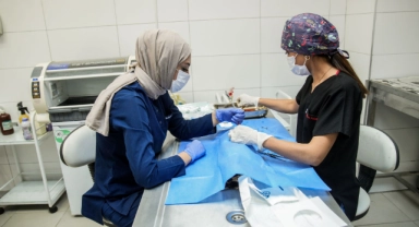 Seyhan’da Hedef 4 Bin Sokak Hayvanının Kısırlaştırılması