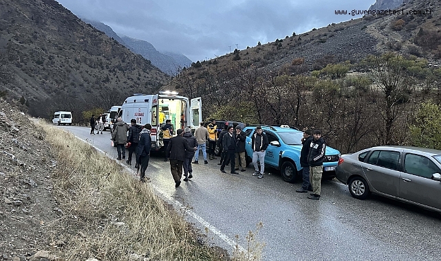 Üzerine Kaya Parçası Düşen Çoban Hayatını Kaybetti