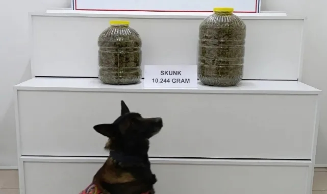 Yolcunun Bagajından 10 Kilogram Uyuşturucu Çıktı