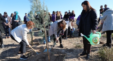 Adana’da, Öldürülen Kadınların Anısı Hatıra Ormanında Yaşatılacak