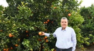 Barut Uyardı:''Tarım ve Gıdada Pestisit Sorununa İktidar Neden Oluyor"