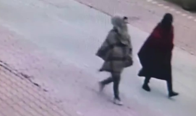 ''Dil Düşürme" Yöntemiyle Evleri Soydu