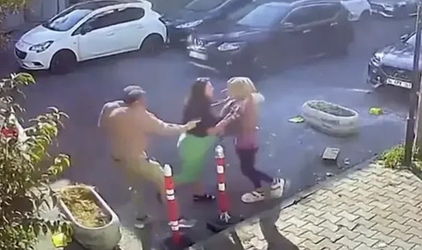 Kedimin Bıyığını Yanlış Kestin Tokadı!
