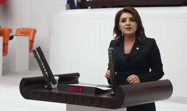 Kış,Köy Kanunu Teklifini Eleştirdi:''Halkın İradesine Darbe Vuruluyor''