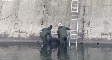 Yeşilırmak'ta Erkek Cesedi Bulundu