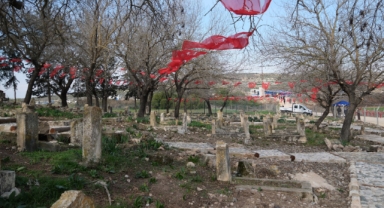 Camili Höyüğü Şehitliği Yeniden Ziyarete Açıldı