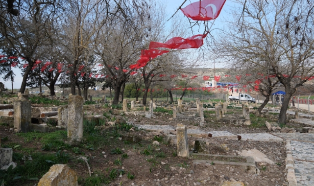 Camili Höyüğü Şehitliği Yeniden Ziyarete Açıldı