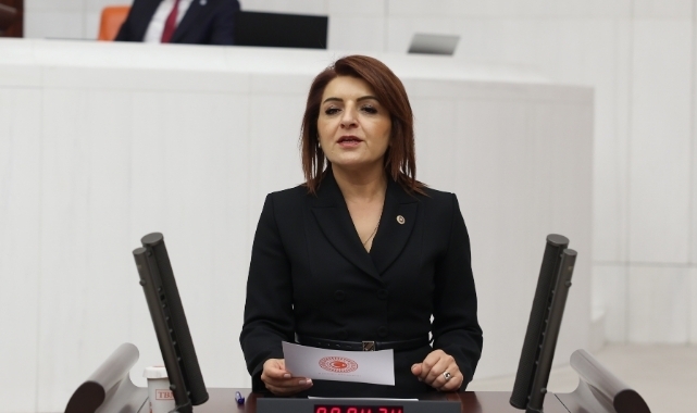 CHP'li Kış:''Mersin’in Turizm Potansiyeli,İhmallerle Harcanıyor!''