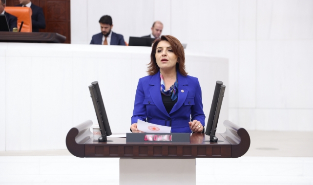 CHP’li Kış’tan Hukuk Eleştirisi:''Bu Meclis Noter Makamı Değildir!''
