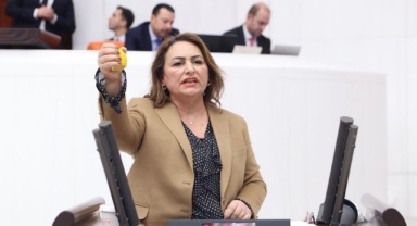 CHP'li Şevkin'den Limonlu Tepki:''Vatandaşı Böyle Sıktınız!''