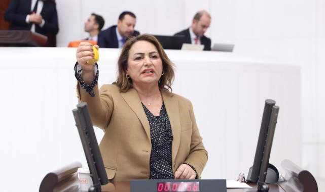 CHP'li Şevkin'den Limonlu Tepki:''Vatandaşı Böyle Sıktınız!''