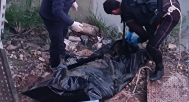 Asi Nehri'nde Erkek Cesedi Bulundu