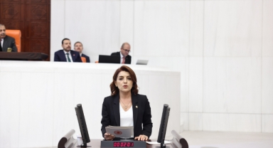 CHP'li Kış:''Halk Yoksullaşıyor, Saray İzliyor!''