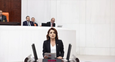 CHP'li Kış:''Halk Yoksullaşıyor, Saray İzliyor!''