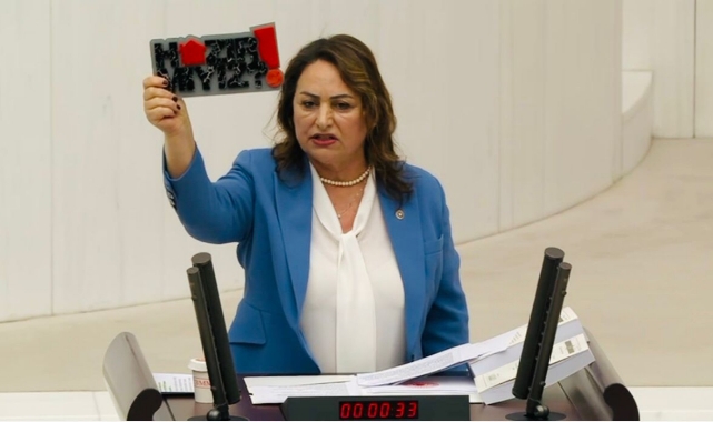 CHP'li Şevkin Sordu:''133 Milyar 236 Milyon Lira Deprem Yardımı Nereye Gitti?''