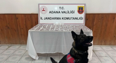 Jandarmadan Uyuşturucu Operasyonu:1 Gözaltı