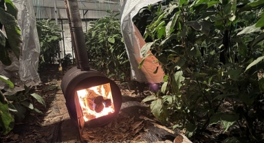 Meteoroloji Uyardı:Zirai Dona Dikkat