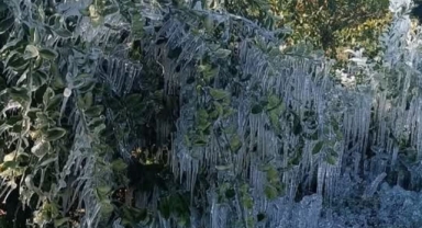 Orhan Sümer Meclise Taşıdı:''Don,Çiftçiyi Olumsuz Etkiledi''