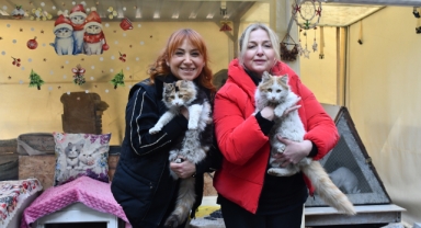 Site Bahçesindeki Barınakta 35 Kediye Bakıyorlar