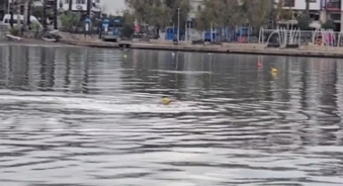 Yağmurlu Havada Denize Girdi