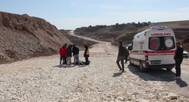 Yol Kenarında Ölü Bulundu