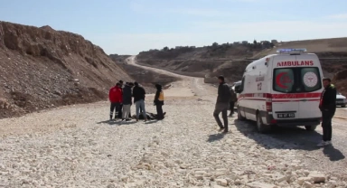 Yol Kenarında Ölü Bulundu
