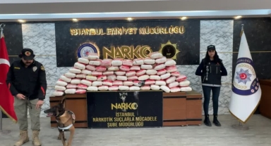 365 Kilogram Kokain Ele Geçirildi,17 Gözaltı