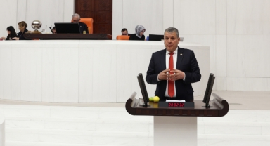 Barut'tan Çağrı:''8 Mart Resmi Tatil Günü İlan Edilsin''