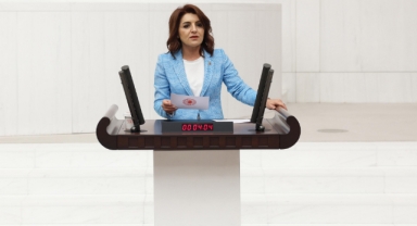 CHP'li Kış'tan ''8 Mart'' Mesajı:"Kadınların Emeği ve Hakları Asla Yok Sayılamaz!"