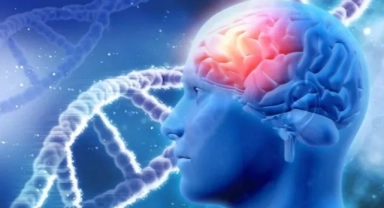 Epilepside Erken Teşhis Yaşam Kalitesini Artırıyor