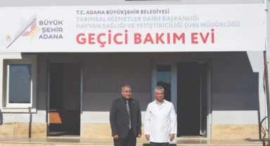 Özdemir'den Belediyelere ''Hayvan Bakımevi'' Çağrısı:''Acil Kurulsun''