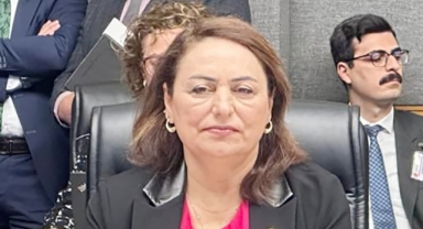 Şevkin:''İklim Kanunu, Sermayenin Kurtuluş Reçetesi Olmuş!''