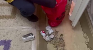 ''Torbacı'' Operasyonu:3 Tutuklama
