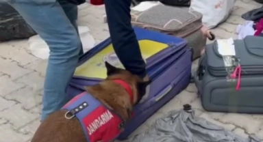 Hatay'da Kurusıkı Operasyonu:3 Gözaltı