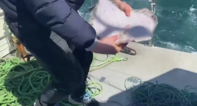 500 Metre Kalkan Ağı Ele Geçirildi