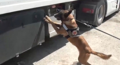 801 Kilogram Uyuşturucu Ele Geçirildi