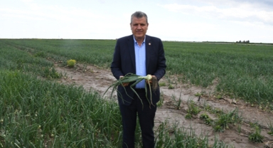 Barut:"Çiftçi Mağdur, Gıdada Kriz Büyüyor"