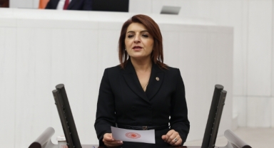 CHP'li Kış:''Saray İktidarı Bankaların Kârını Katlıyor''