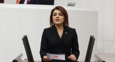 CHP'li Kış:''Saray İktidarı Bankaların Kârını Katlıyor''