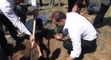 Gemerek'te 2 Bin 500 Fidan Dikildi