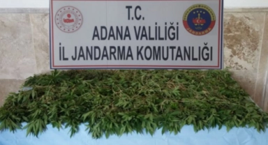 Hint Keneviri Yetiştiren Sanığa 11 Yıl 8 Ay Hapis Cezası