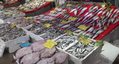 Karadeniz'de Av Sezonu Bereketli Bitiyor