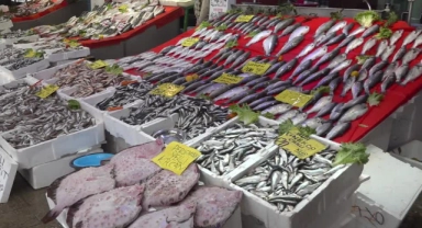Karadeniz'de Av Sezonu Bereketli Bitiyor