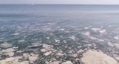 Mudanya Kıyılarında Müsilaj Görüldü